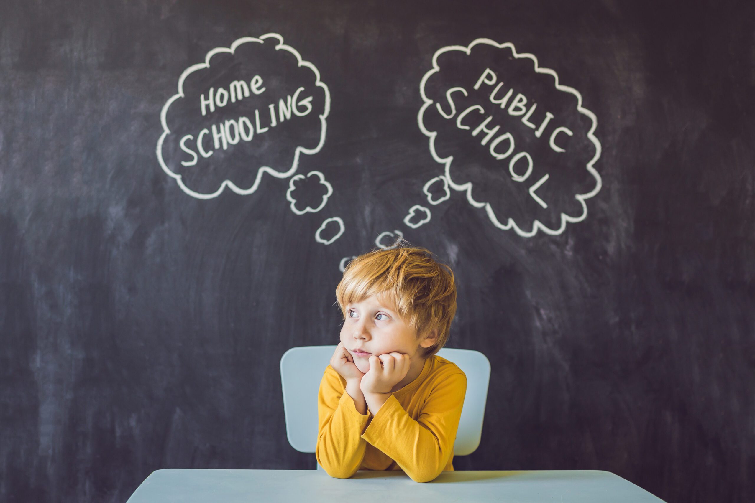 Traditional School vs. Homeschooling – A Comparative Guide